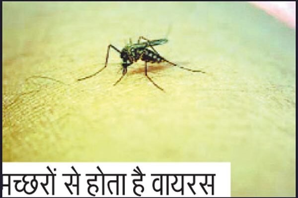 How deadly is Chandipura virus that has arrived in India?