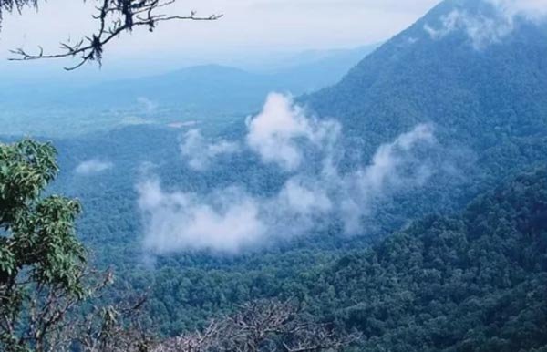 Intense Rains Lash Madhya Pradesh